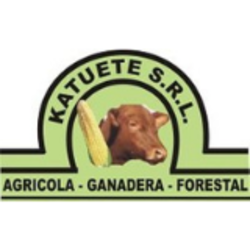 Katuete